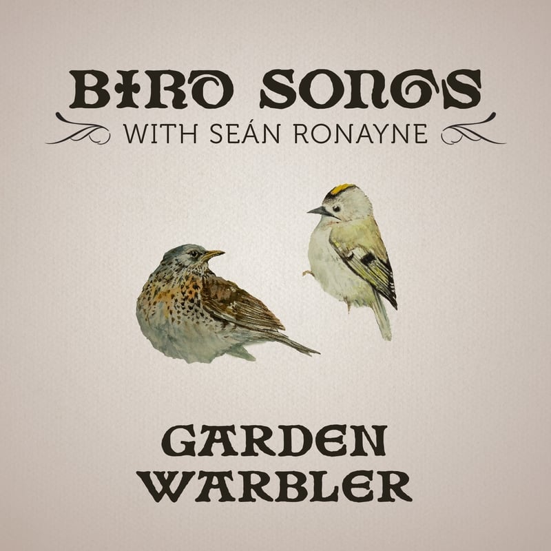 Garden Warbler | Bird Songs with Seán Ronayne episode artwork