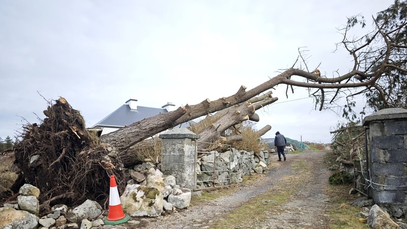 Storm Eowyn Report looking at lessons to draw on for future