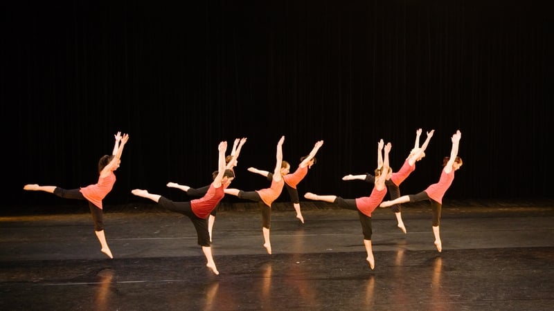 The Comptroller and Auditor General found that €7 million was spent by The Arts Council on an unsuccessful IT system