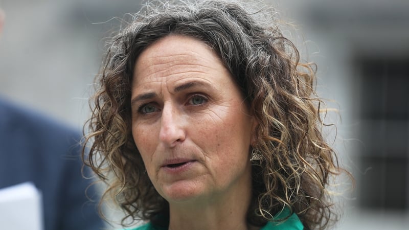 Lynn Boylan was summonsed by Dublin City Council (file pic)
