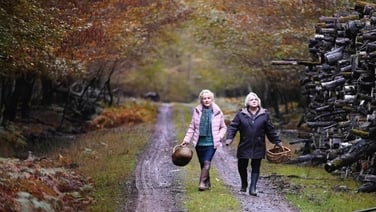 When Autumn Falls is filled with suspense and unexpected twists and turns