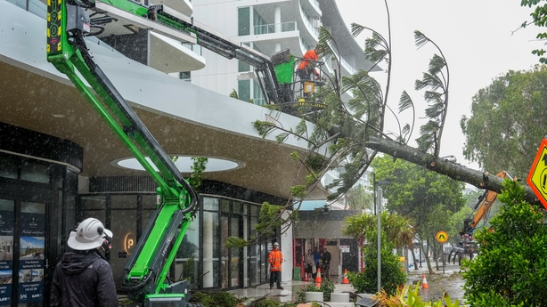 A fallen tree resting on the roof of an apartment complex is cut down in Scarborough Brisbane, Australia.