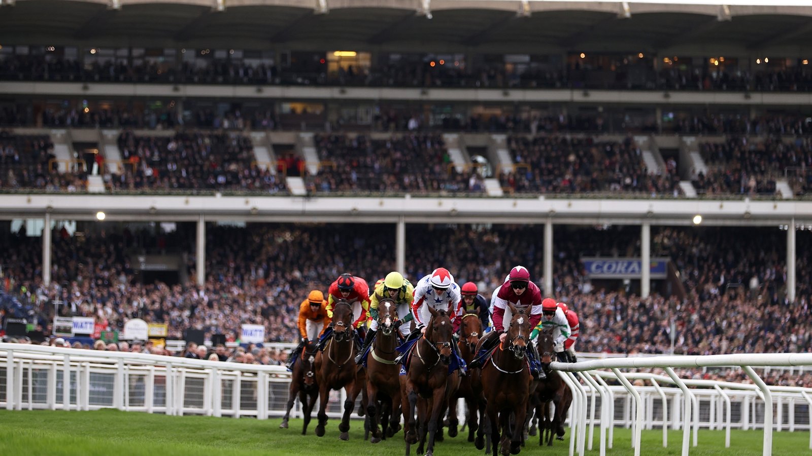 Excitement and sadness in Irish racing community ahead of Cheltenham