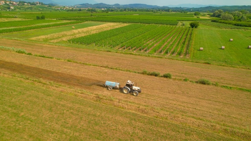 Clean water or more cows? The debate over the Nitrates Directive