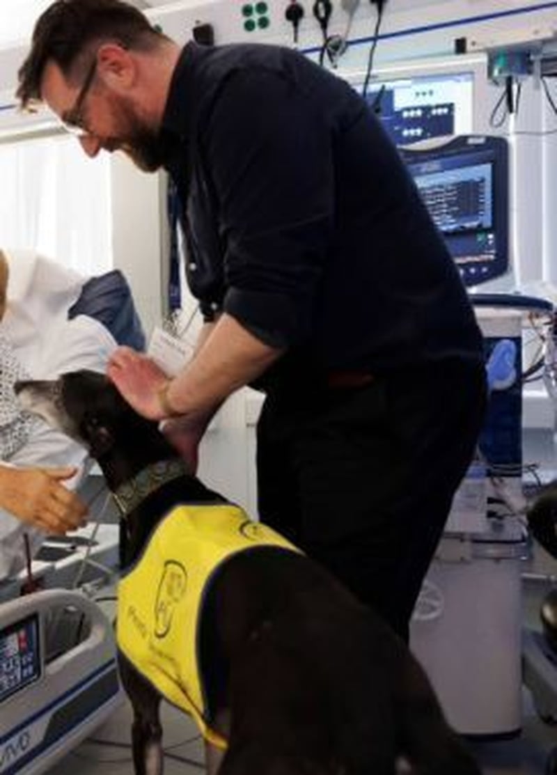 Pop the ICU Therapy Dog