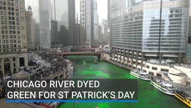Chicago river dyed green for St Patrick’s Day