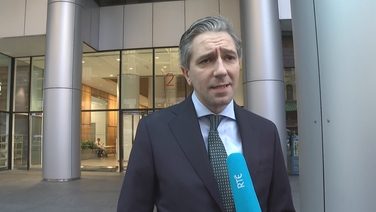 Impact of Israeli airstrikes on Gaza 'utterly devastating' - Tánaiste