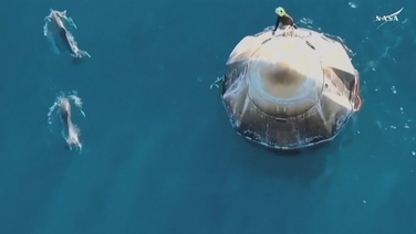 Dolphins swim around SpaceX capsule after splashdown
