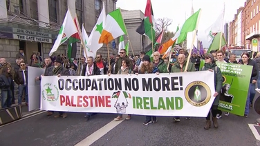 Thousands attend Palestine solidarity march in Dublin