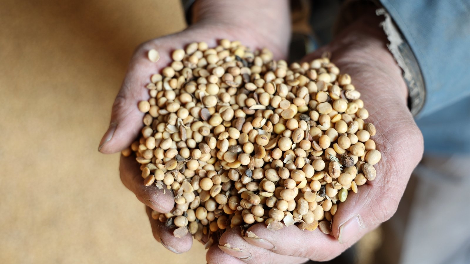 What US exports has China hit with retaliatory tariffs?