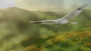 Kerry: Tides of Time