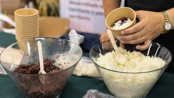 The Jaspe rice strain was obtained by crossing a Chilean seed with a Russian one better adapted to cold and dry climates