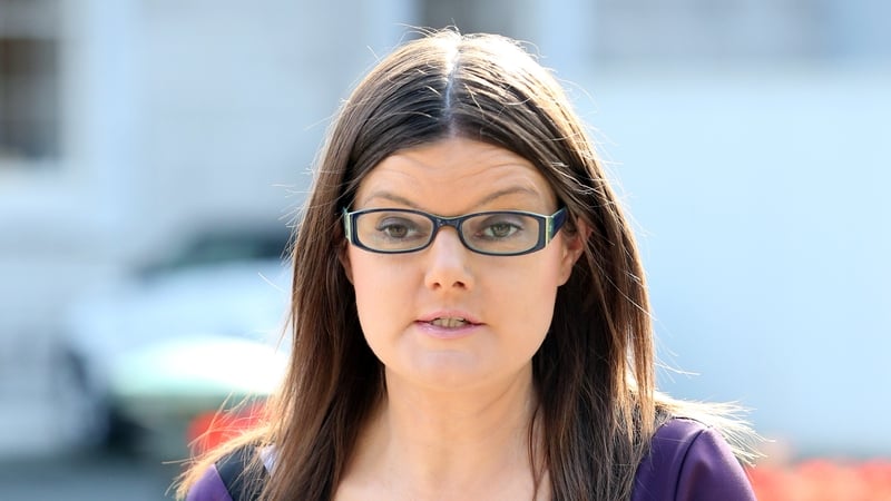 Sinn Féin MEP Kathleen Funchion says she felt 'physically lighter' after her former partner was sentenced (file image)