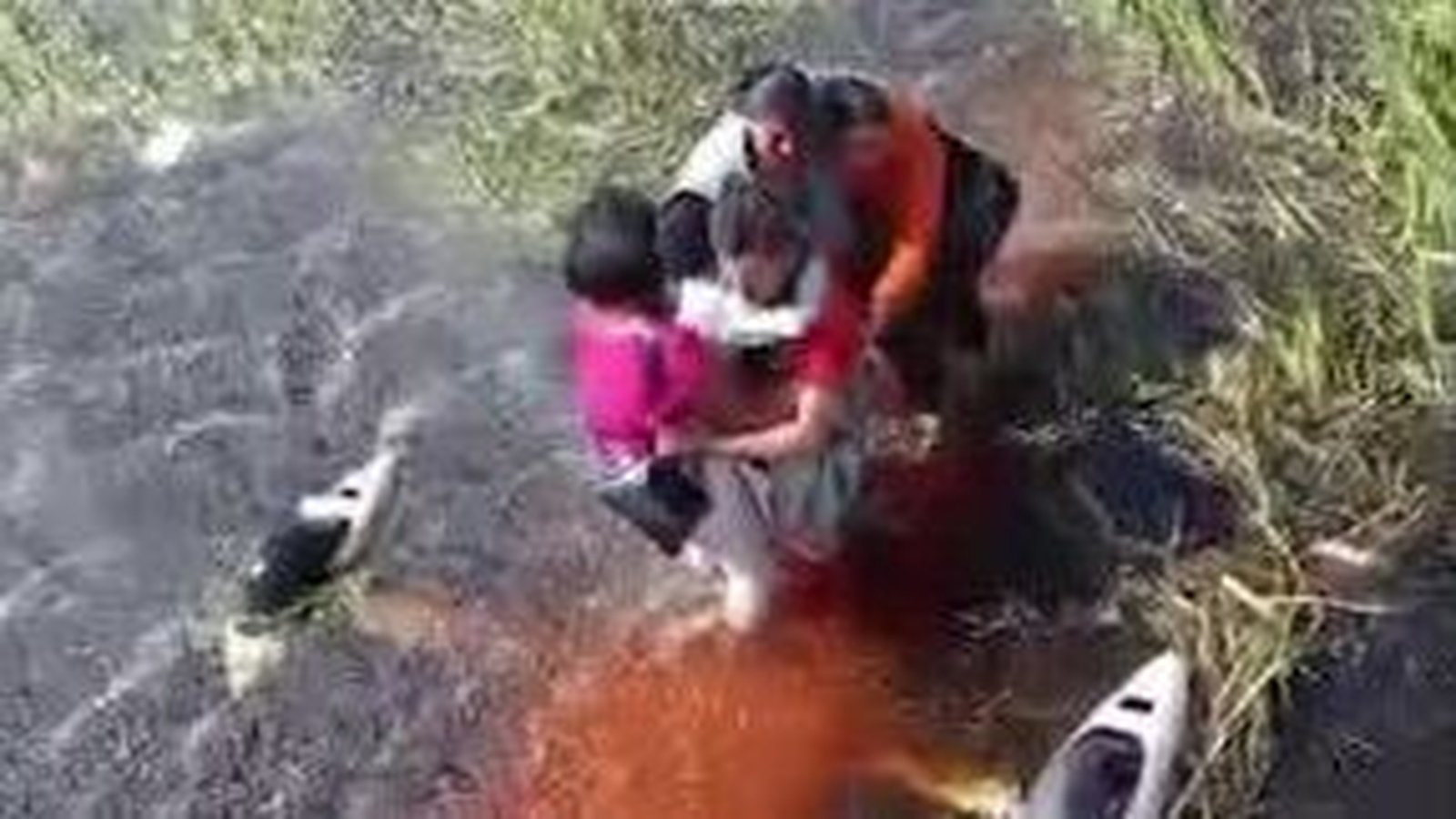 Five survive for 36 hours in swamp after plane crash