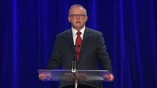 Australian people voted for Australian values - Albanese