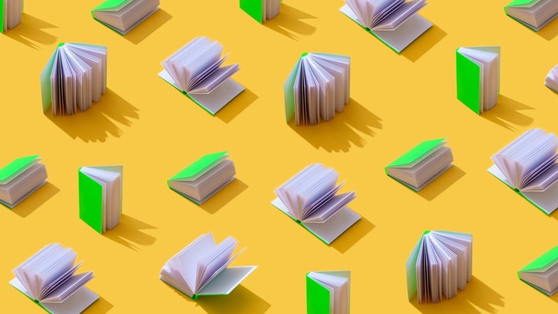 Book: The Taoiseach: A Century of Political Leadership