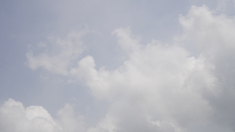 Weather Forecast