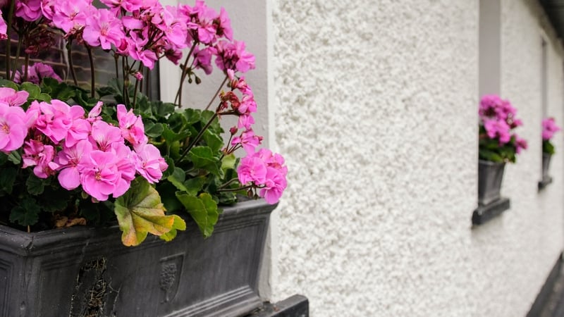 Katherine Mangan, coiste bailte slachmhar Bhéal an Mhuirthead.