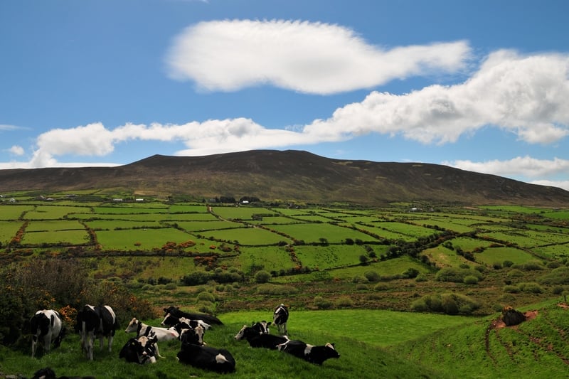 CountryWide