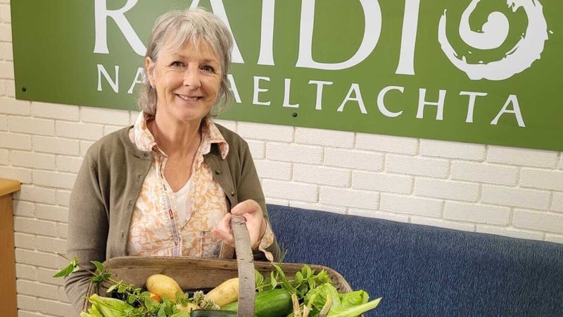 Deirdre Ní Bhraonáin, Garraíodóir Chluain na dTor.