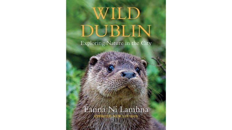 Éanna’s Wild Dublin book: second edition out now
