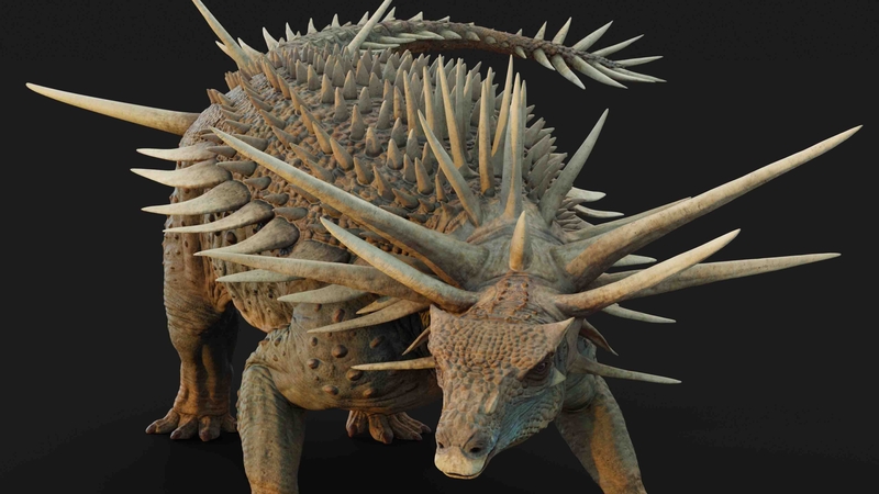 Spicomellus Afer, the oldest example of armoured dinosaurs found in Morocco