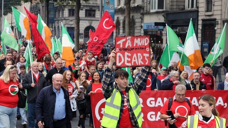 Action plan for teaching Irish language
