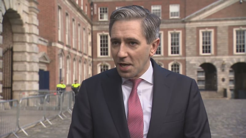 Sinn Fein and Finna Gael react to tanaiste comments on immigration