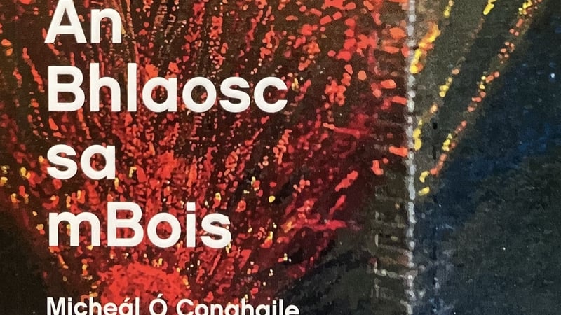 Micheál Ó Conghaile, Scríbhneoir.