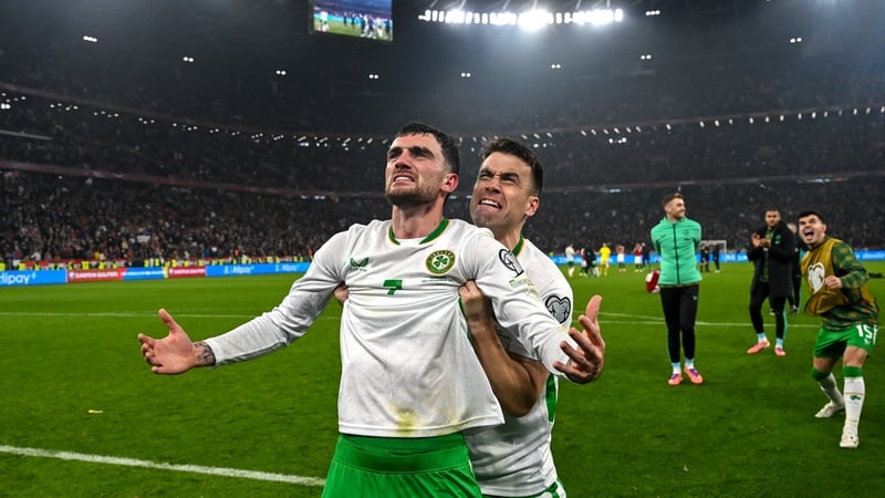 What next for the Boys in Green after their heroic Hungary win?