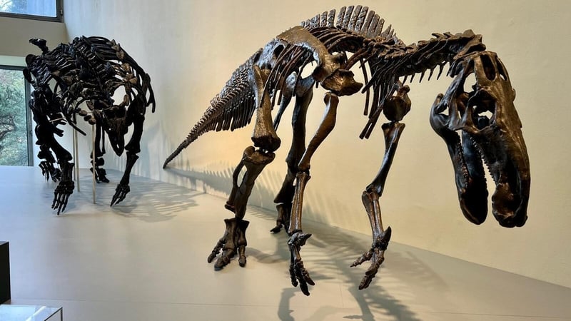 Dinosaurs: What Happened To Them?