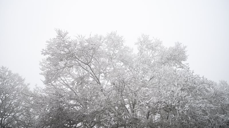 New Year's Eve Weather