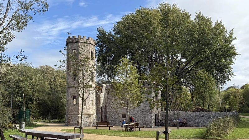 Diarmuid Ó Drisceoil