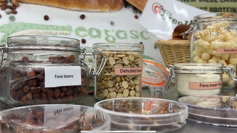 Food security efforts stepped up amid rising climate pressures