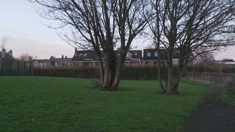 Herzog Park proposal 'not about erasing history' - SF