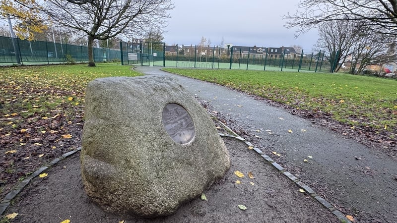 Proposal to rename Dublin's Herzog Park not 'legally sound', council told