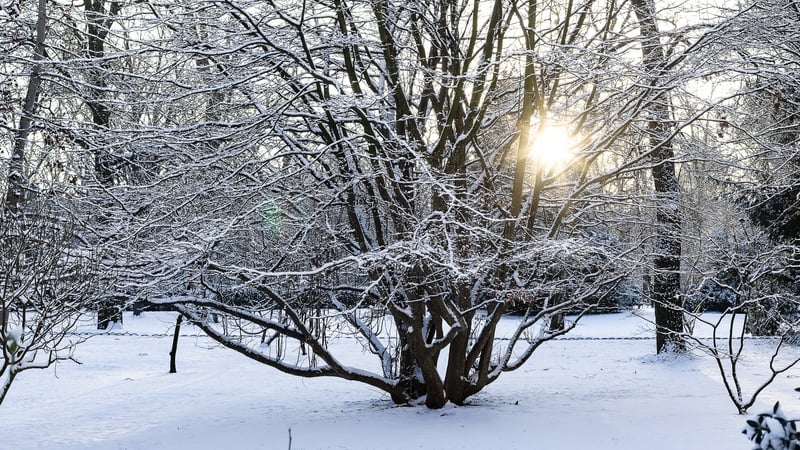 Six dead in weather accidents as cold snap grips Europe Six dead in weather accidents as cold snap grips Europe