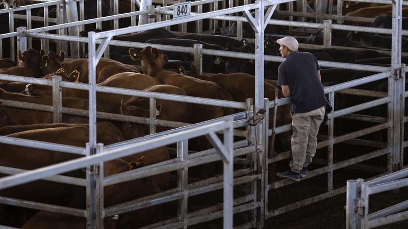 Govt expected to decide stance on EU-Mercosur trade deal