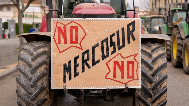 Mercosur political impact