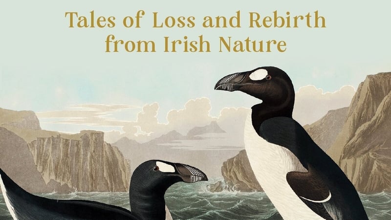 The Living And The Dead