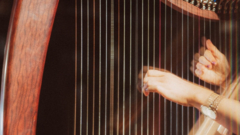 30th Festival of Youth Orchestras takes place this weekend 30th Festival of Youth Orchestras takes place this weekend