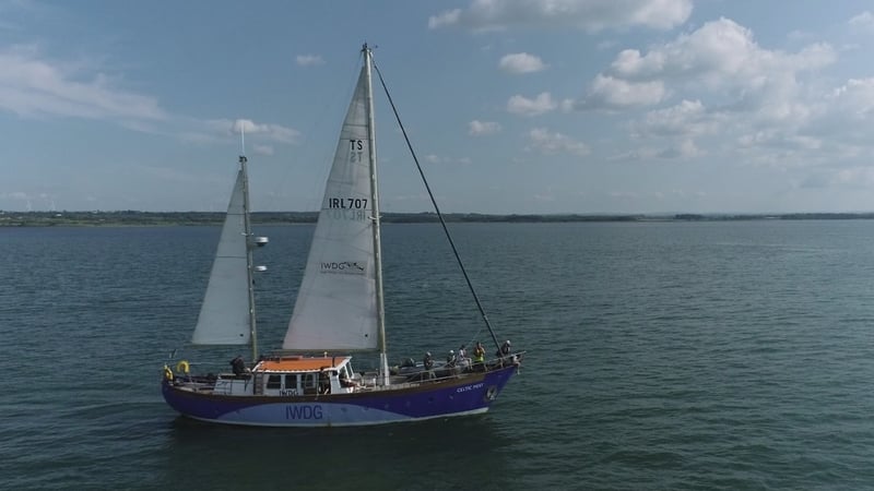 Celtic Mist to set sail on final season with whale and dolphin group