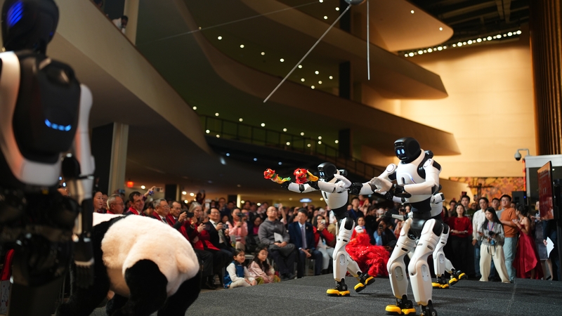 Dance of the Robots