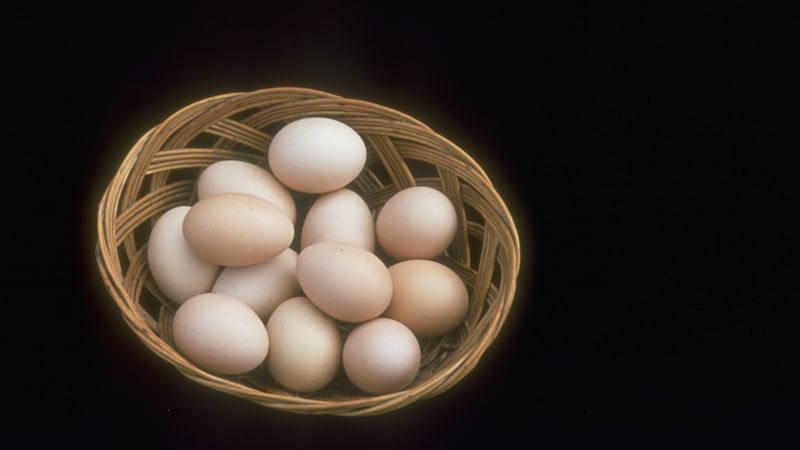 Could egg shortages be on the way due to underpaid producers?