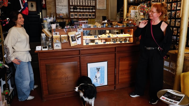 Should you allow your pets in shops and cafes? episode artwork