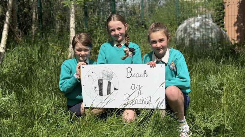 Schools embrace biodiversity in schoolyards Schools embrace biodiversity in schoolyards