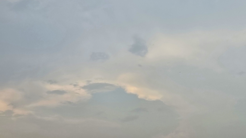 Weather Forecast