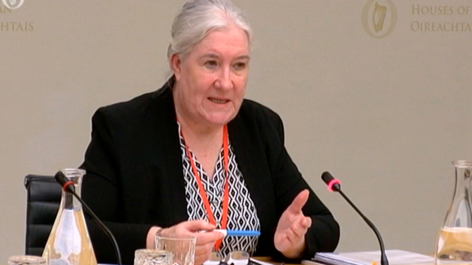 Image - In 2017, Ms Farrell addressed the Oireachtas Committee on Justice and Equality