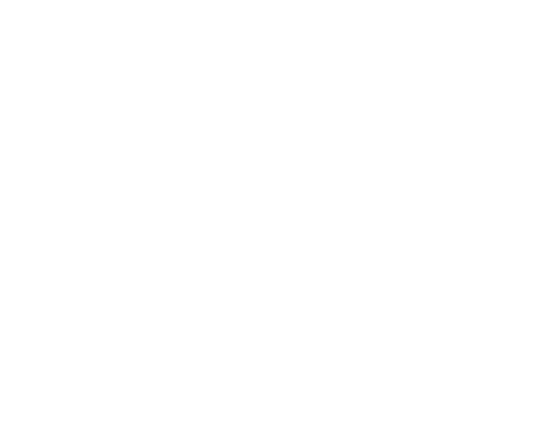 Toy Show The Musical